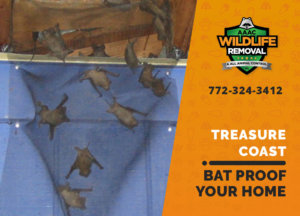 bat proofing my treasure coast home
