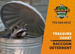 treasure coast raccoon deterrents