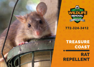 rat repellent useful treasure coast