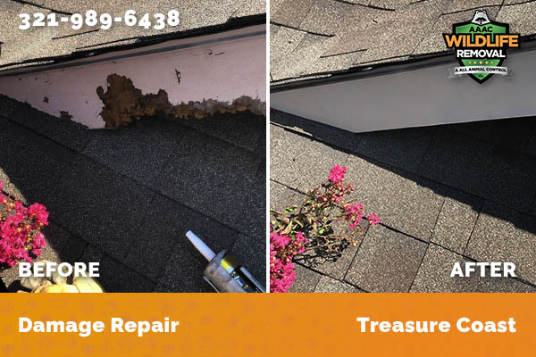 Damage Repair Treasure Coast