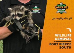Wildlife Removal Fort Pierce South