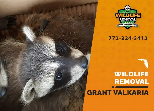 Grant Valkaria Wildlife Removal professional removing pest animal