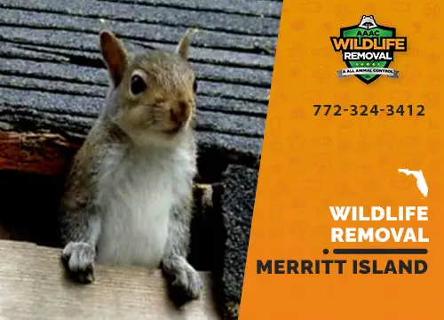 Merritt Island Wildlife Removal professional removing pest animal
