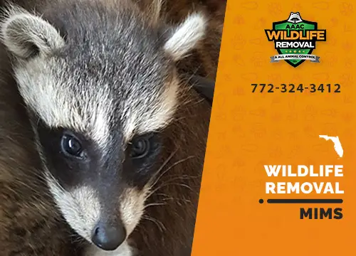 Mims Wildlife Removal professional removing pest animal