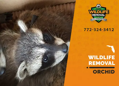 Orchid Wildlife Removal professional removing pest animal
